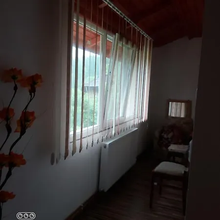 Casa De Vacanta *