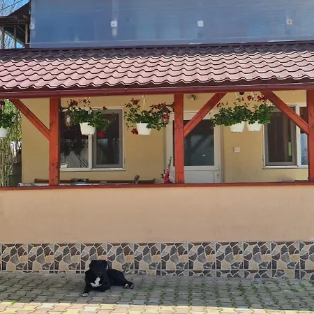 Casa De Vacanta *